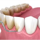 더오케이치과의원 이미지