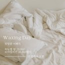 왁싱에진심 이미지