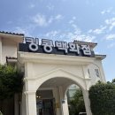 킹콩백화점 제주 80%세일기간 방문 후기