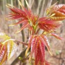 청미래 농장 이미지