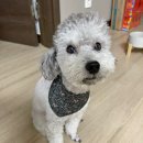 지영의류 이미지