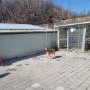 리버하우스 이미지