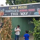 펌킨커피(PUMPKIN COFFEE) | 🍁 밴쿠버 근교 가을 필수 코스! Taves Family Farm Pumpkin Patch 펌킨패치 즐기기 완벽 가이드