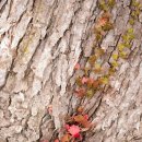 길목가든 이미지