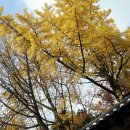 남산숲속여행길 이미지