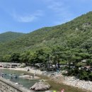 느티고을펜션 이미지