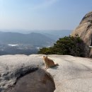 장흥면송추계곡입구~북한산국립공원주차장 | 북한산국립공원 도봉산 여성봉 난이도? 소요시간&amp;후기