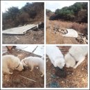 길중농장 이미지