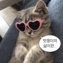 대문안 감자탕&설렁탕 네이버블로그