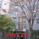 수정아파트 | 경기 성남시 수정구 삼부아파트 외부창틀누수 실리콘보수작업 후기