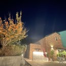 썬레코드(SUN RECORD) 이미지