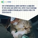 더 오케이 병원 이미지
