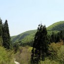 판교초교 이미지