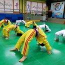 한국체대 비전태권도 이미지