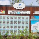 서동공원 향토음식특화거리 이미지