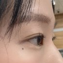 죽전역 | 대구 달서구 죽전역 속눈썹펌 후기 "디어브"