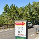 제주 샤브샤브 오션뷰 점심 맛집 애월샤브더레드
