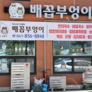 배꼽부엉이