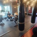 인복싱클럽 | 양정복싱 제대로 배울 수 있는 곳, 염포동체육관 탑비트복싱클럽 후기 (ft. 염포동복싱 양정동체육관 )