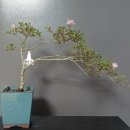 산호수농장 이미지