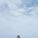 등기산스카이워크 이미지