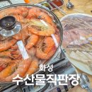 시장 앞 공터 | 화성 궁평항 수산시장 대하 맛집 키로당 시세 주차 요금 내돈내산