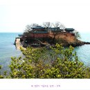 달빛되어 이미지