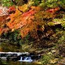 충북행정사사무소 이미지