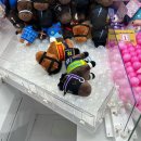 시티오메가 뽑기방 | 후쿠오카 혼자 여행 둘째날 캐널시티 인형뽑기 세팅 제대로 해줘서 망손도 뽑을 수 있음