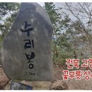 전북 고창 선운사 꽃무릇(상사화) 산행 이미지