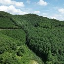 진성바이오 이미지