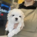 프불하우스 이미지