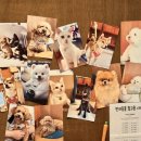 우봉후 | 제주도 유일 반려동물 각인목걸이를 바로 제작해주는 곳 '우봉이'