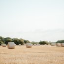 농촌진흥청 국립식량과학원 이미지