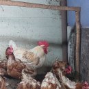 하이 - 남구 왕생로 61 | 하이