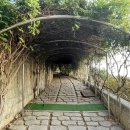 남산공원 남산정 화장실 | 김해 남산정 남산공원 비밀폭로 액자샷