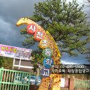 사천초등학교 정문 이미지