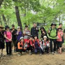 당구사랑 이미지