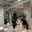 이끌리짐 이미지