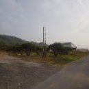 별지야영장 이미지