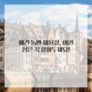 모든애견미용실 이미지