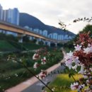 연지추어탕 이미지