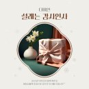 피부관리샵 창업 전문 노원 다미인 교육 일정 전시장 체험 안내