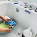 하이멍뭉 이미지