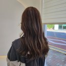 더레아살롱