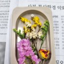 신림동쓰리룸 서울청년센터 관악 청년문화공간 청년성장프로젝트 석고방향제 만들기 후기