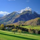 신의행정사 사무소 이미지