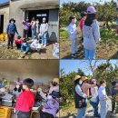 삼화농장2 이미지