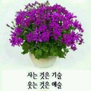 아름다운꽃세상 이미지