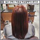 첨단 박승철 헤어 앞 | 일산 킨텍스 미용실 박승철헤어스튜디오 자인 실장님 후기